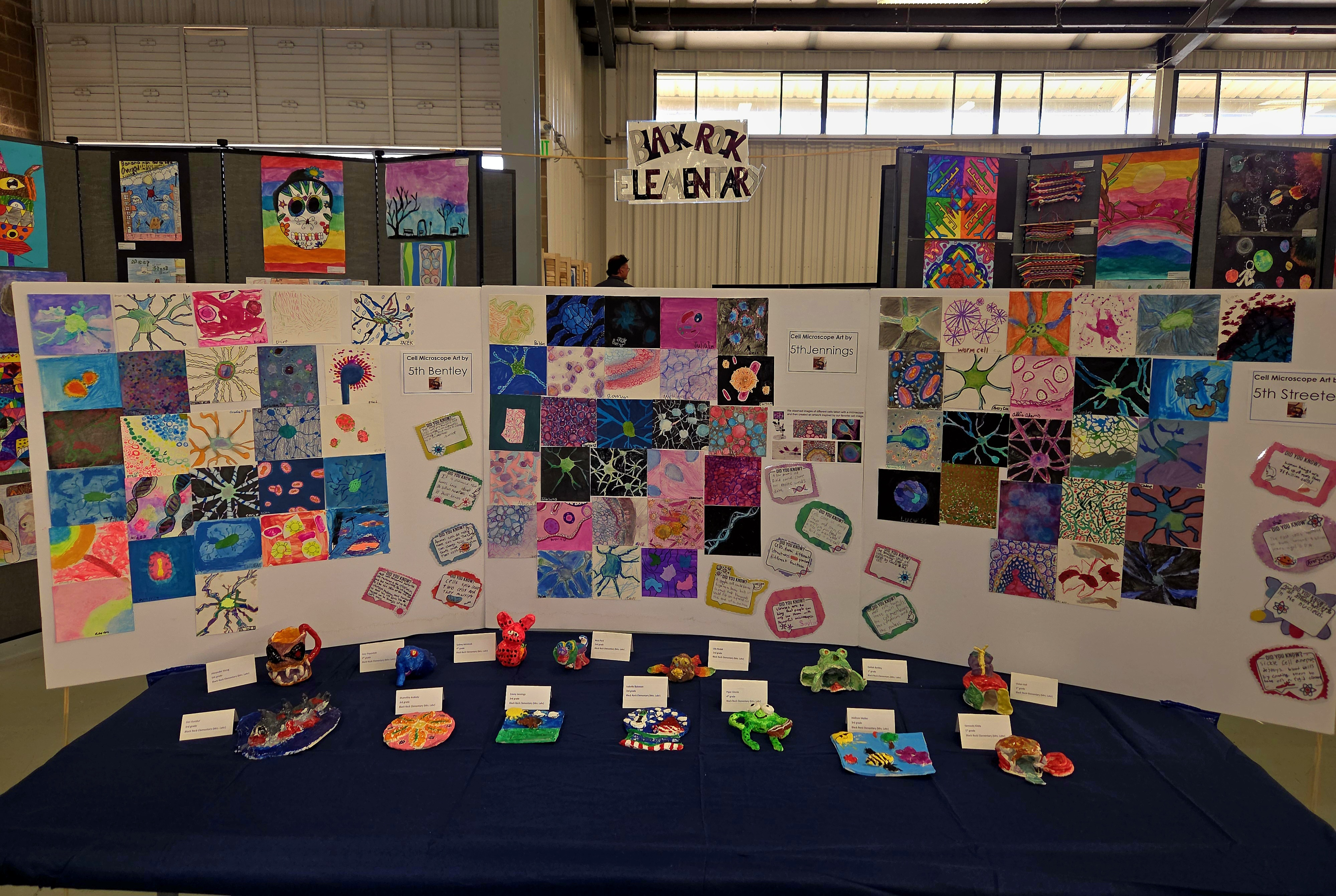 Art work displayed at the art show